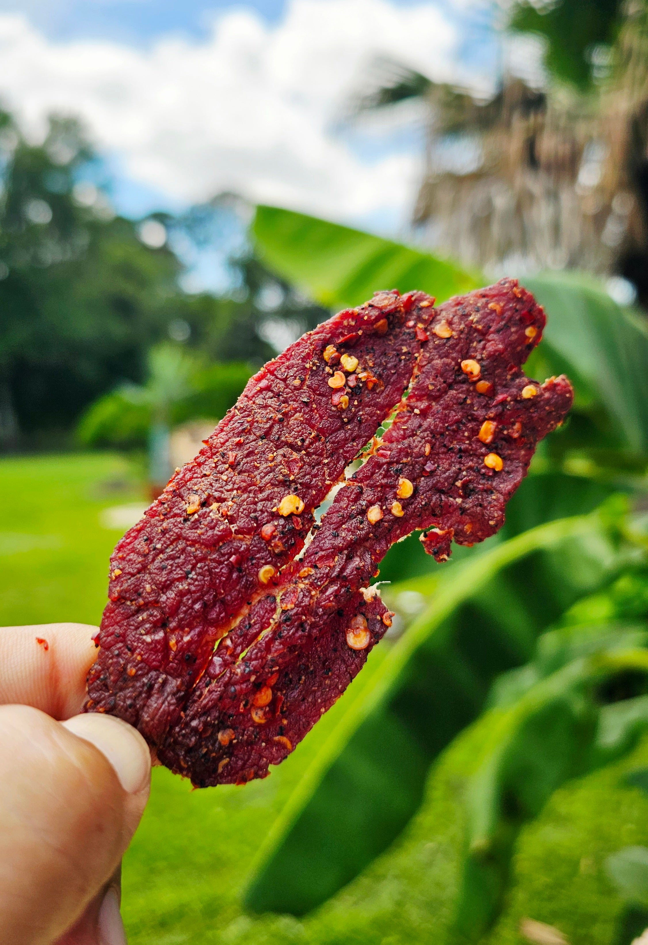 Smoked Post Oak Beef Jerky - Chile Piquin Lemon Pepper
